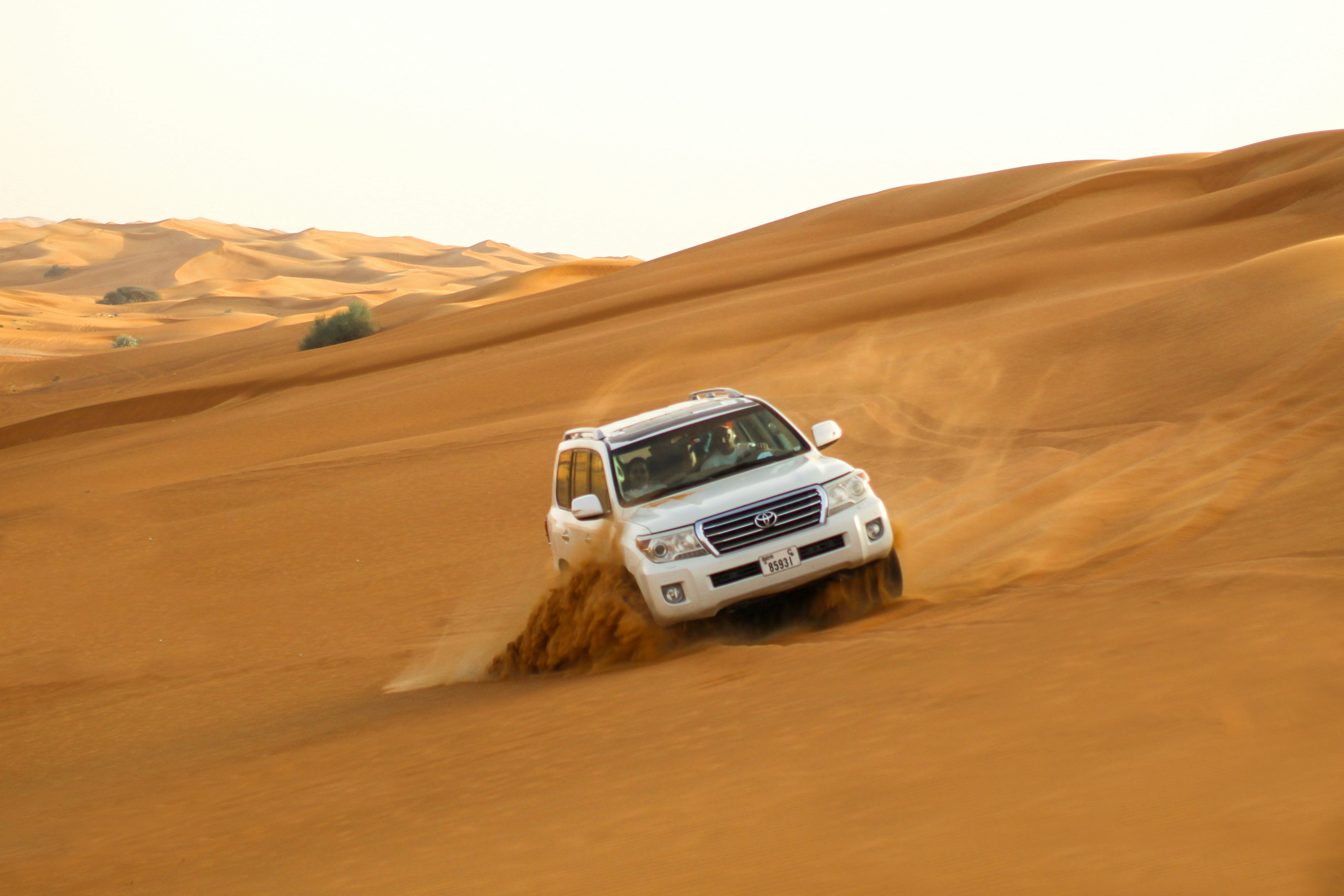 Desert Safari with Bab Al Shams Dinner 