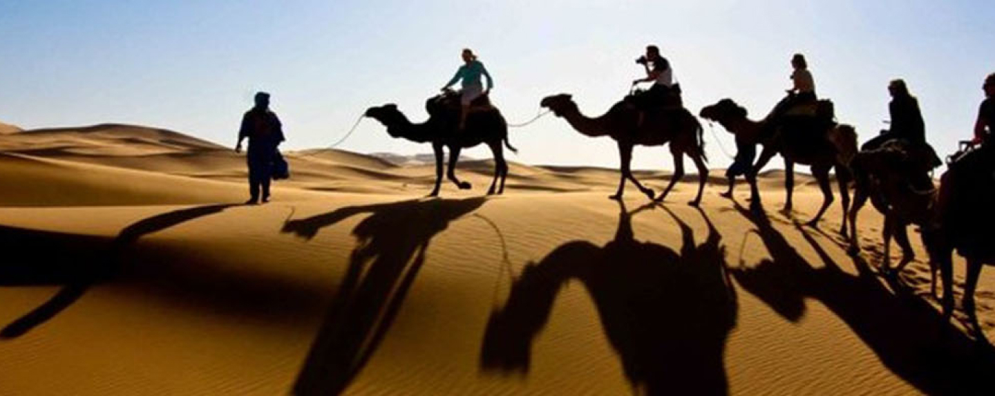 Camel Trekking Dubai